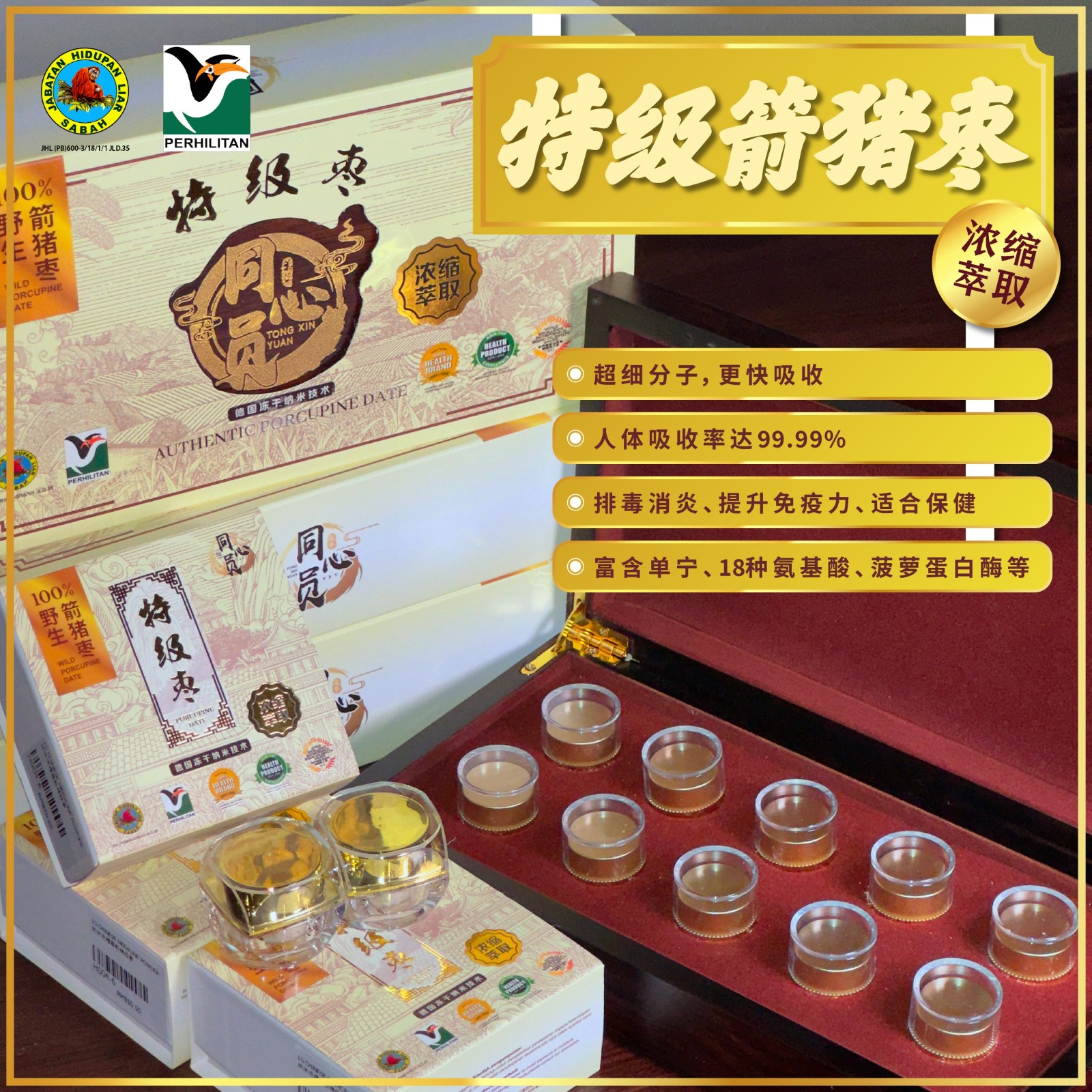 同心圆 · 特级纳米箭猪枣 (浓缩萃取版)